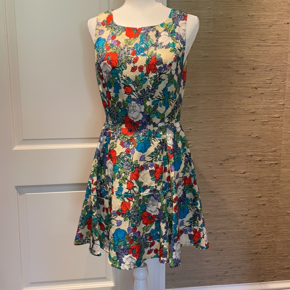 I Madeline Floral Skater Dress